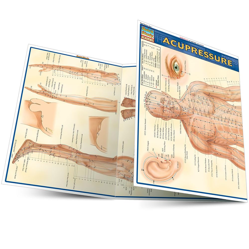The Fundamentals of Acupressure: A Concise Study Outline