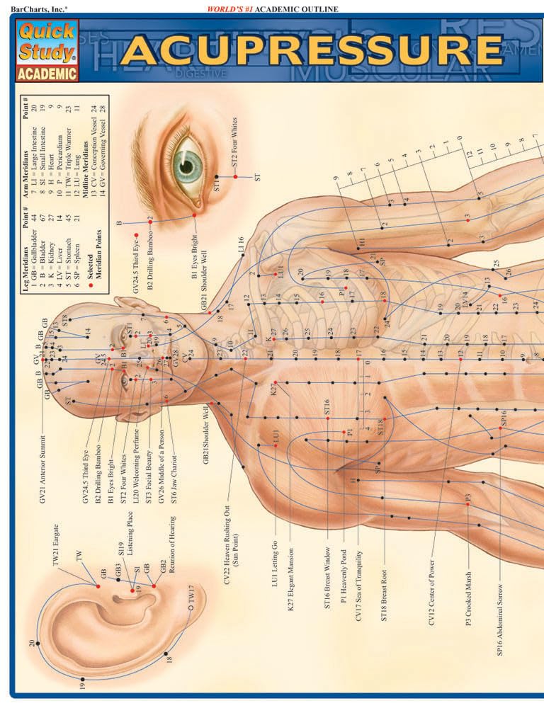 The Fundamentals of Acupressure: A Concise Study Outline