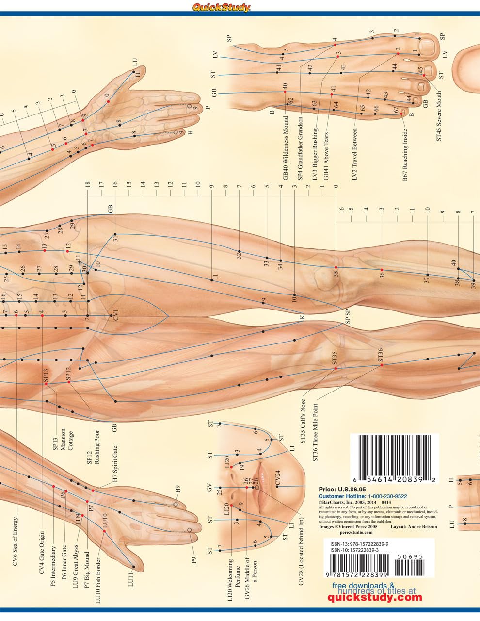 The Fundamentals of Acupressure: A Concise Study Outline