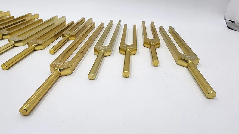 15-Piece Human Biology Set Unweighted Gold Color Tuning Forks for Vibrational Healing and Sound Therapy with Carry Bag and Striker - Thecosmicaccess