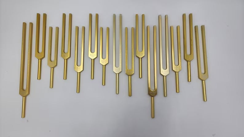 15-Piece Human Biology Set Unweighted Gold Color Tuning Forks for Vibrational Healing and Sound Therapy with Carry Bag and Striker - Thecosmicaccess
