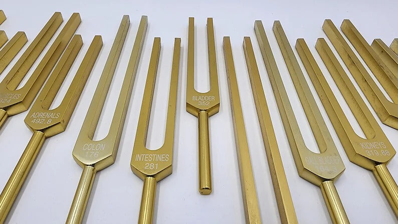 15-Piece Human Biology Set Unweighted Gold Color Tuning Forks for Vibrational Healing and Sound Therapy with Carry Bag and Striker - Thecosmicaccess