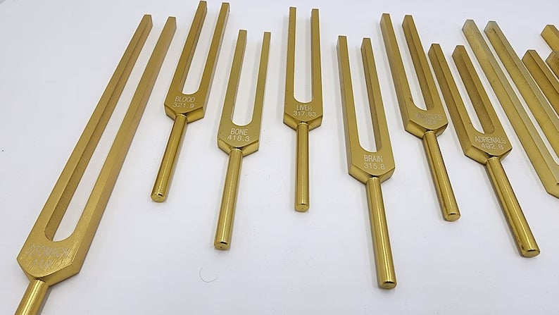 15-Piece Human Biology Set Unweighted Gold Color Tuning Forks for Vibrational Healing and Sound Therapy with Carry Bag and Striker - Thecosmicaccess