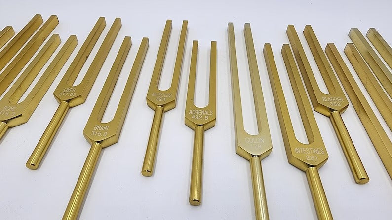 15-Piece Human Biology Set Unweighted Gold Color Tuning Forks for Vibrational Healing and Sound Therapy with Carry Bag and Striker - Thecosmicaccess