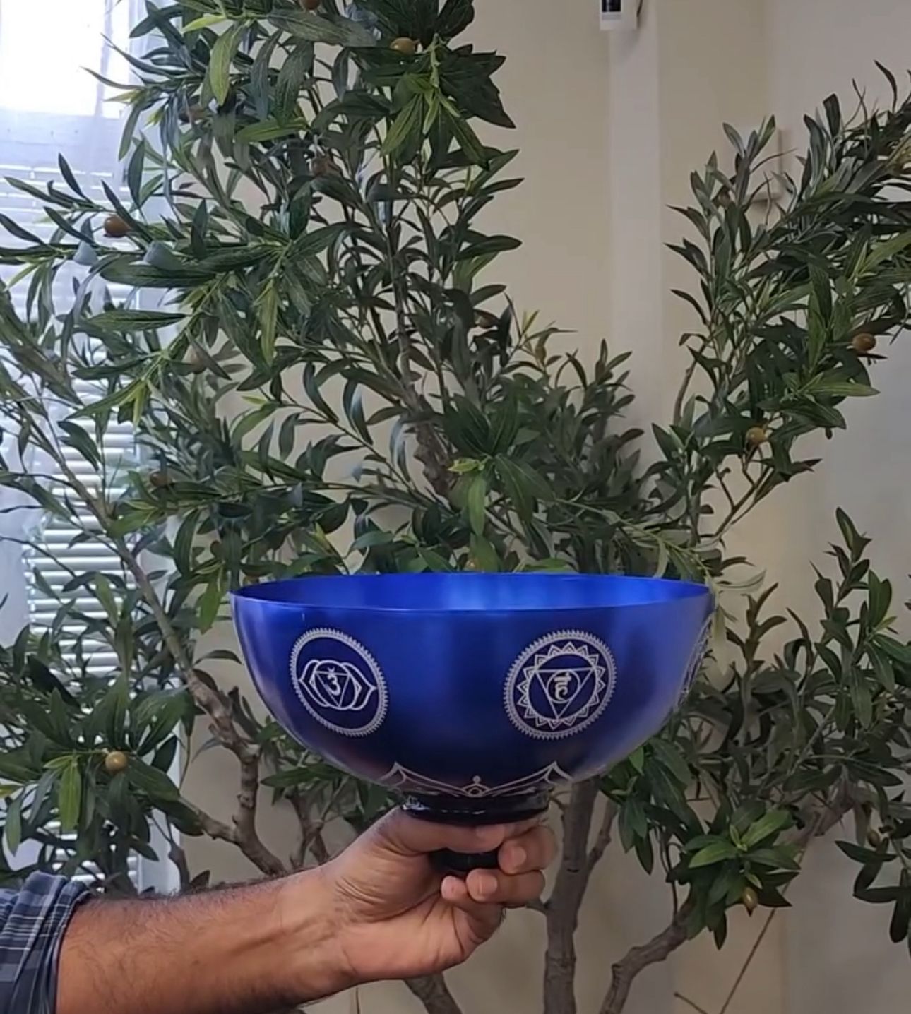 3rd Octave Titanium 7 Chakra Set Singing Bowls with Strikers Holders O-rings for Sound Healing Meditation Yoga