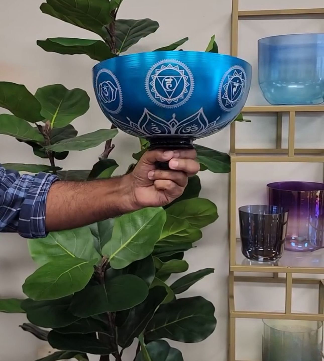 3rd Octave Titanium 7 Chakra Set Singing Bowls with Strikers Holders O-rings for Sound Healing Meditation Yoga