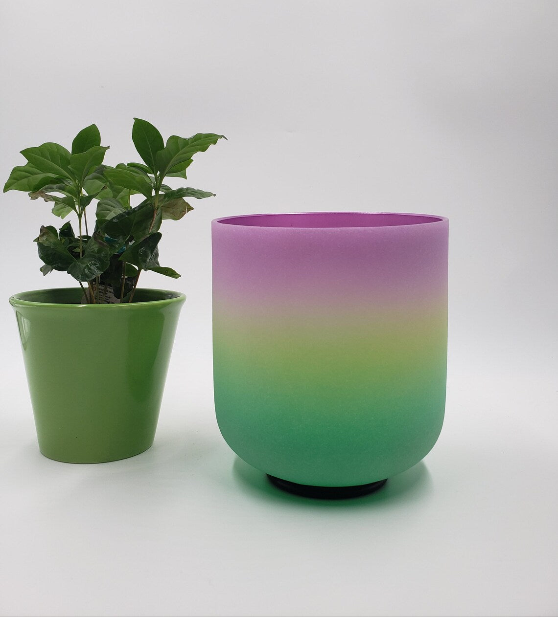 432Hz Perfect Pitch 7" BNote Rainbow Crystal Singing Bowl with Mallet - Embrace the Vibrations of Balance and Serenity - Thecosmicaccess