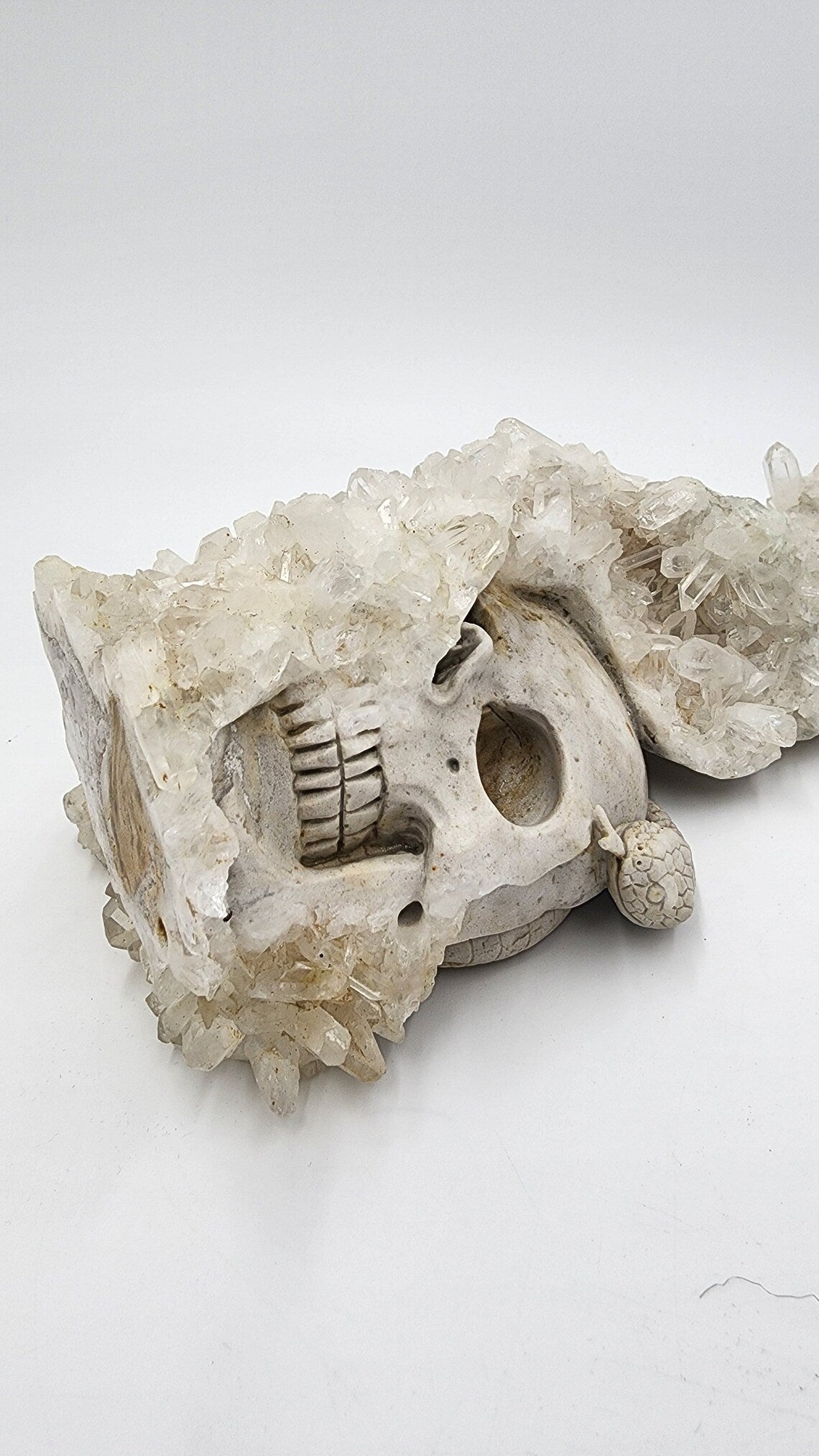 Mystical 9.4" Quartz Rock Druse Hand Carved Crystal Carved Skull with Serpent Realistic Sculpture Home Decor Reiki Healing - Thecosmicaccess