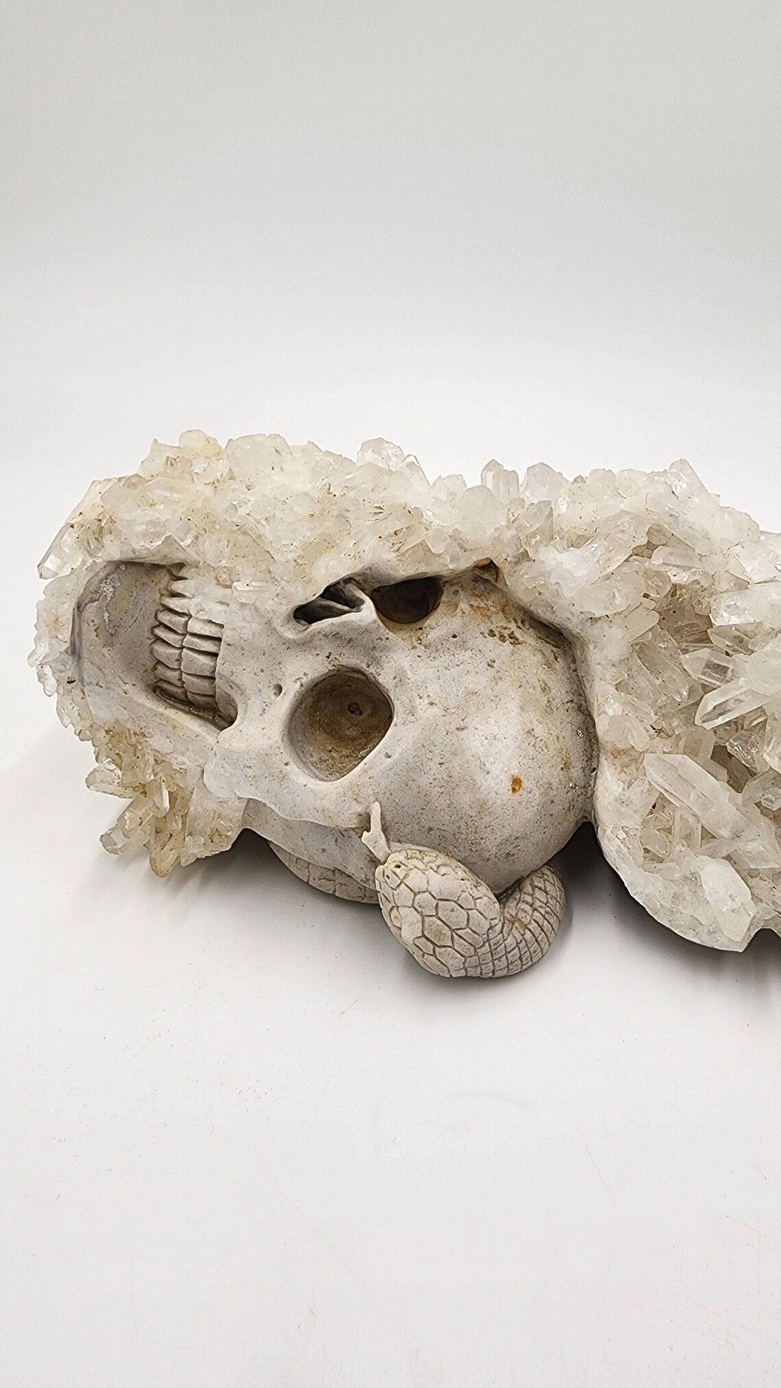 Mystical 9.4" Quartz Rock Druse Hand Carved Crystal Carved Skull with Serpent Realistic Sculpture Home Decor Reiki Healing - Thecosmicaccess