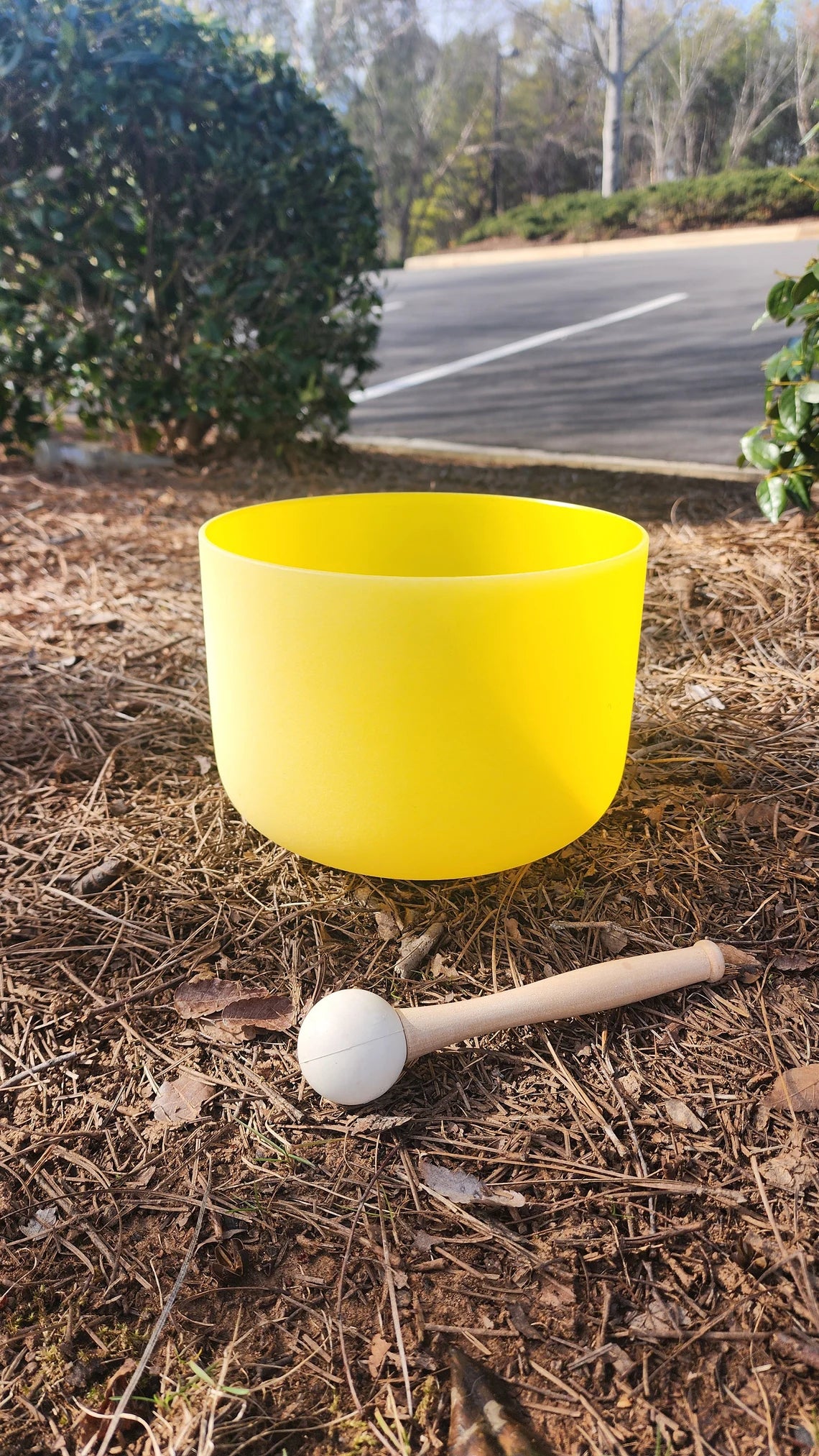Perfect Pitch 8” Solar Plexus Chakra E Note Quartz Crystal Singing Bowl - Frosted Yellow, O-Ring, Mallet - Thecosmicaccess