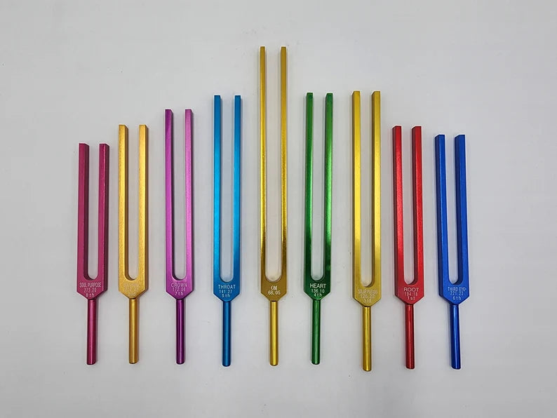 Professional Chakra Unweighted Color Coded Tuning Forks Set of 9 with Individual Chakra Sign Bags Includes Earth Star and Soul Purpose