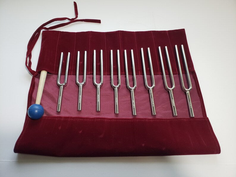 Harmonic Tuning Fork Set of 8 Stainless Steel - Frequencies 256Hz to 512Hz - Velvet Bag and Striker Included - Thecosmicaccess