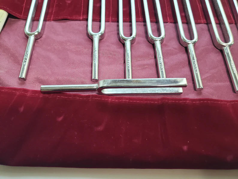 Harmonic Tuning Fork Set of 8 Stainless Steel - Frequencies 256Hz to 512Hz - Velvet Bag and Striker Included - Thecosmicaccess