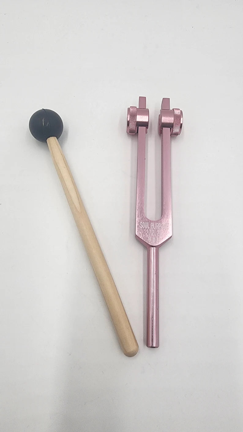Chakra Tuning Forks Color Weighted Choose from 9 Sound Healing with Individually Marked Chakra Bags and Striker - Thecosmicaccess
