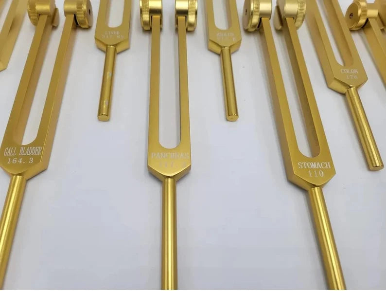 15-Piece Human Biology Set weighted Gold Color Tuning Forks for Vibrational Healing and Sound Therapy with Carry Bag and Striker