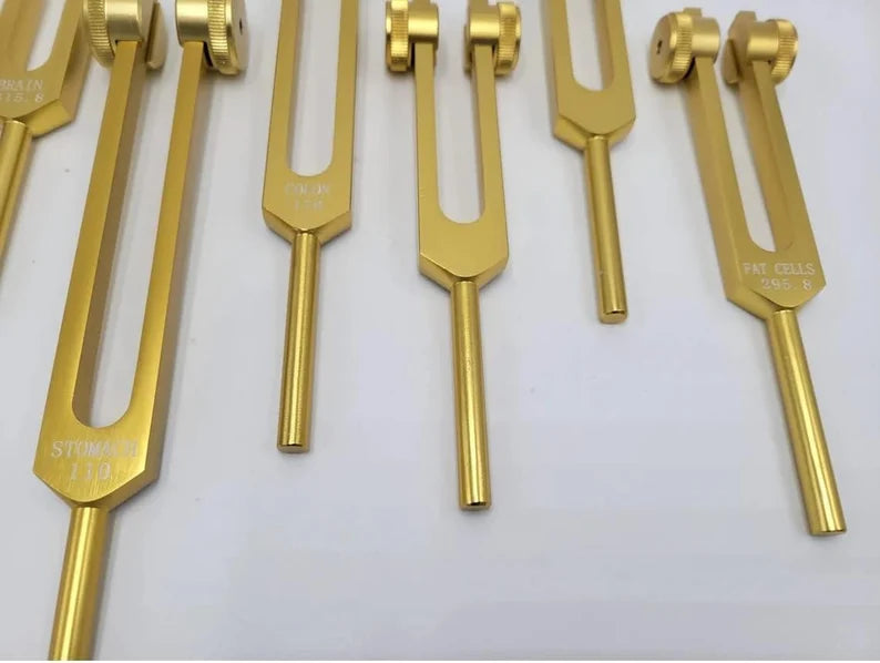 15-Piece Human Biology Set weighted Gold Color Tuning Forks for Vibrational Healing and Sound Therapy with Carry Bag and Striker
