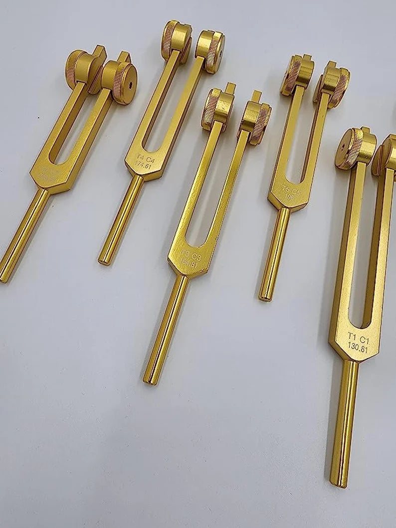 12pc Song of the Spine weighted Tuning Fork Set - Professionally Tuned to .25 Hz for Bio-field Balance and Cellular Harmony