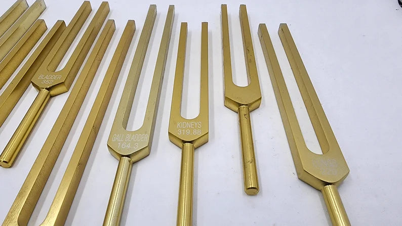 15-Piece Human Biology Set Unweighted Gold Color Tuning Forks for Vibrational Healing and Sound Therapy with Carry Bag and Striker - Thecosmicaccess