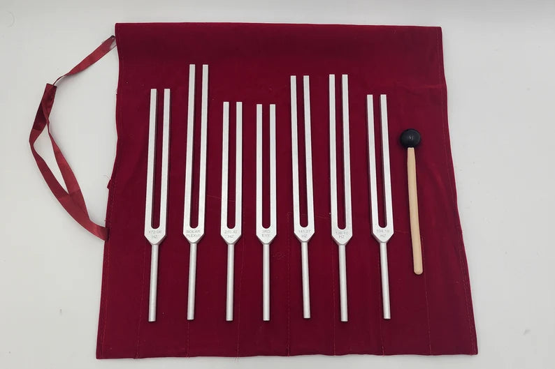 Chakra Tuning Fork Set Unweighted Silver with Color Removable Balls, Velvet Bag and Striker - Sound Healing Therapy Biofield Balancing - Thecosmicaccess