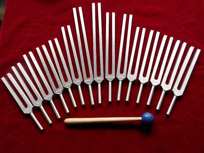 15-Piece Human Biology Set Unweighted Gold Color Tuning Forks for Vibrational Healing and Sound Therapy with Carry Bag and Striker - Thecosmicaccess