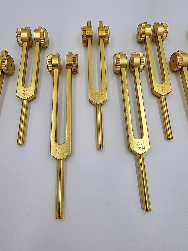 12pc Song of the Spine weighted Tuning Fork Set - Professionally Tuned to .25 Hz for Bio-field Balance and Cellular Harmony