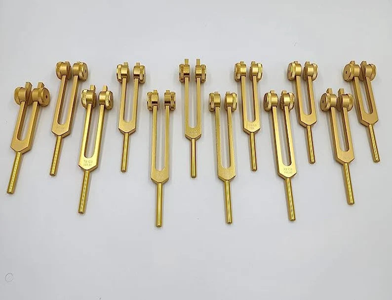 12pc Song of the Spine weighted Tuning Fork Set - Professionally Tuned to .25 Hz for Bio-field Balance and Cellular Harmony