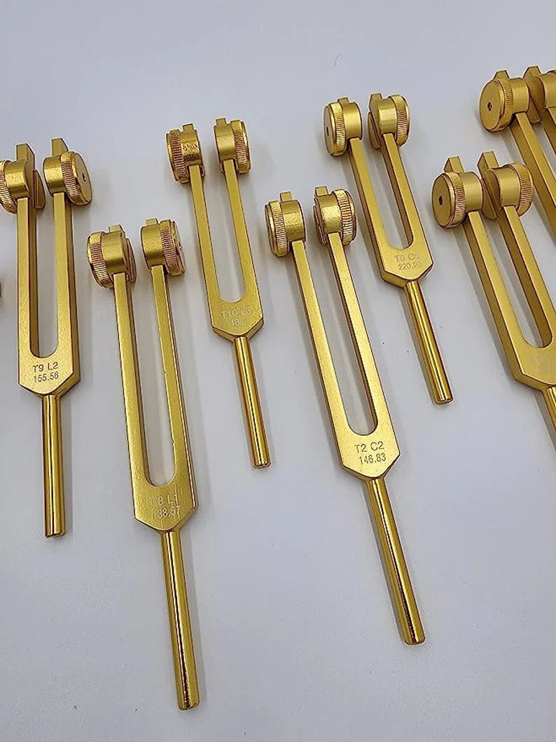 12pc Song of the Spine weighted Tuning Fork Set - Professionally Tuned to .25 Hz for Bio-field Balance and Cellular Harmony