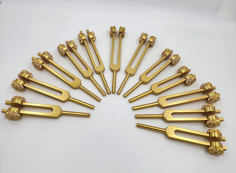 12pc Song of the Spine weighted Tuning Fork Set - Professionally Tuned to .25 Hz for Bio-field Balance and Cellular Harmony