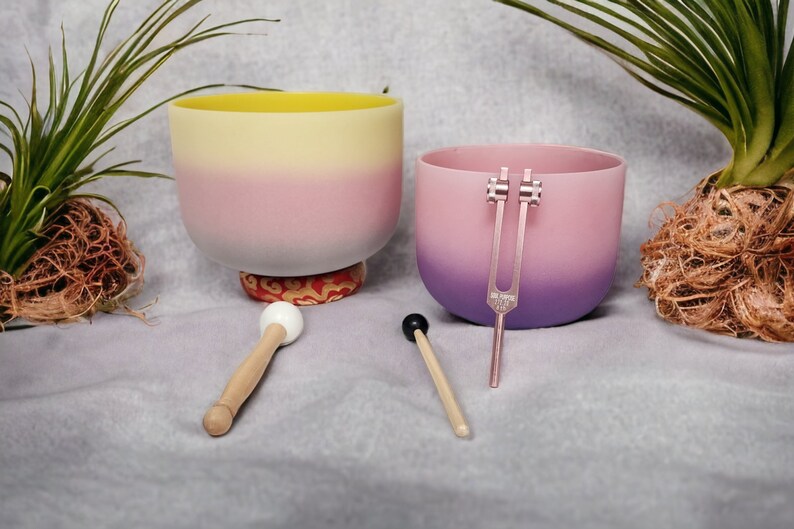 432Hz Perfect Pitch 10 inch E Note and 8 inch F Note Rainbow Crystal Singing Bowl with Soul Purpose Tuning Fork, Padded Case and 2 mallets - Thecosmicaccess