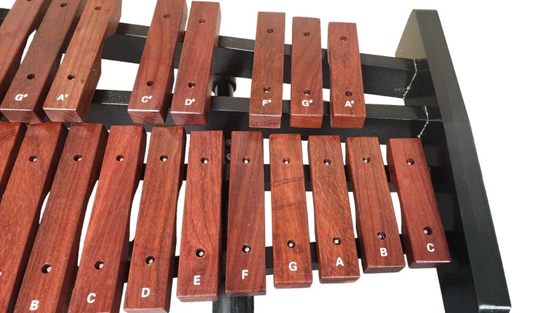 Professional-Grade 37 Note Red Wood Xylophone Percussion Set High Resonance Bell Kit with Stand Mallet and Bag