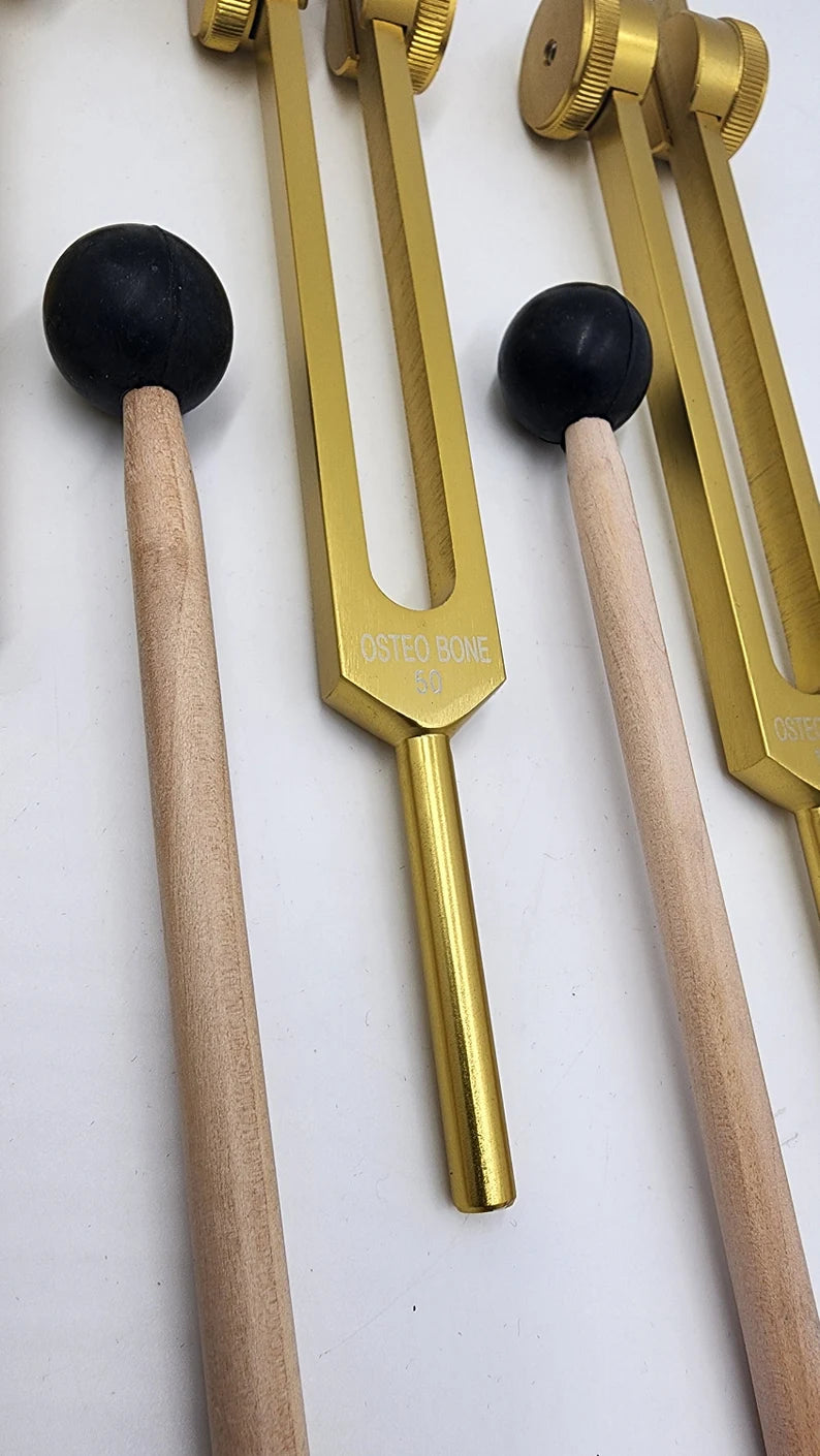 Osteo Tuning Fork Set of 4 Weighted for Bone Ligament Nerves Muscle Healing