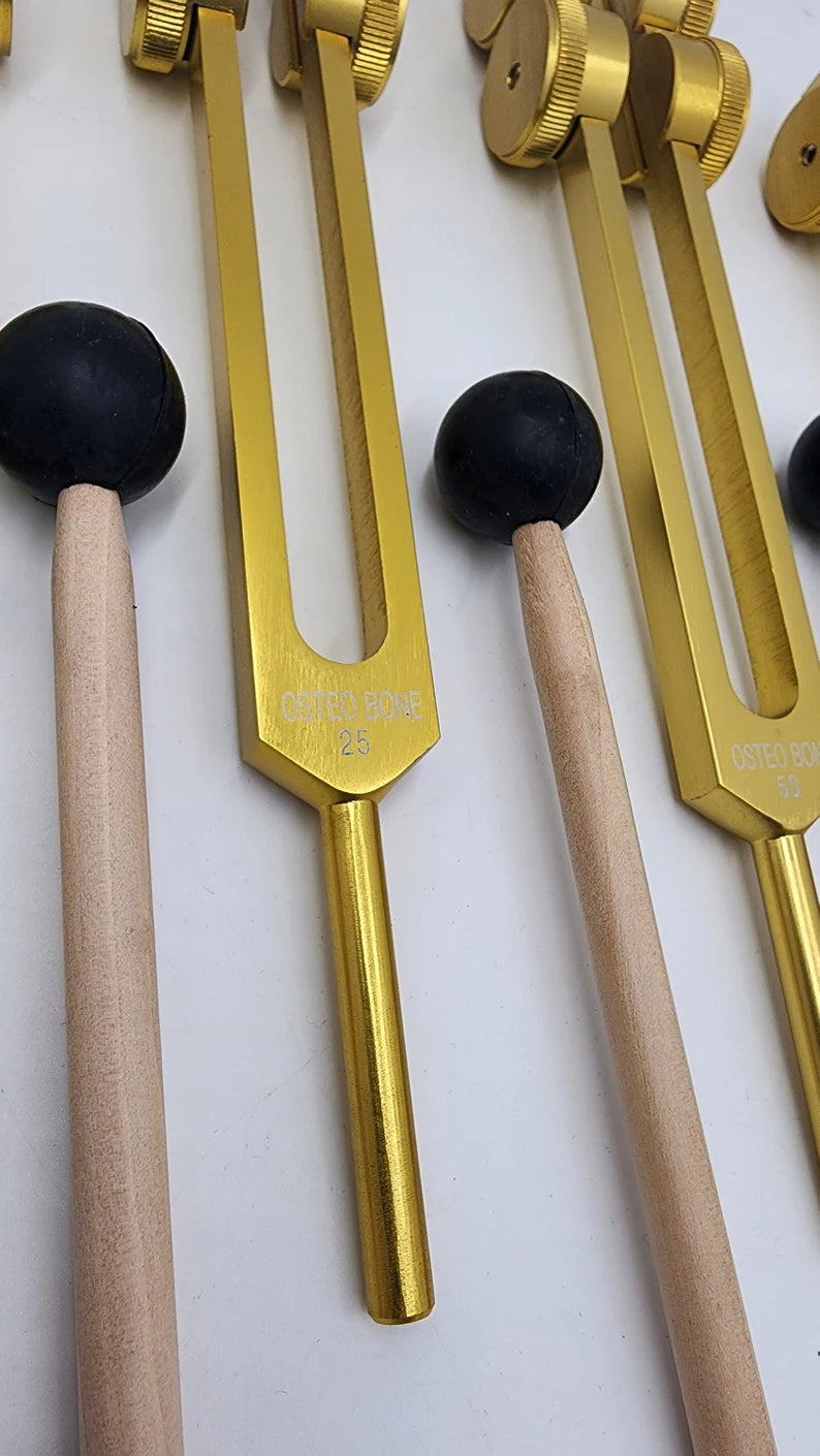Osteo Tuning Fork Set of 4 Weighted for Bone Ligament Nerves Muscle Healing