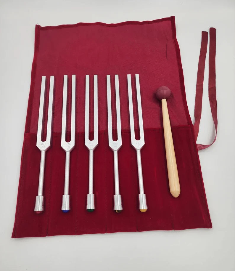 Binaural Brain Unweighted Tuning Fork Set of 5 with GEM FEET and Velvet Bag