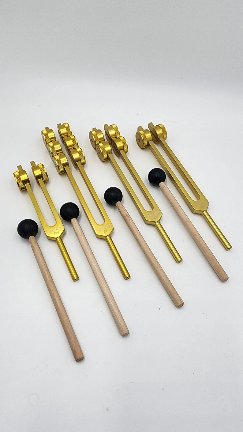 Osteo Tuning Fork Set of 4 Weighted for Bone Ligament Nerves Muscle Healing