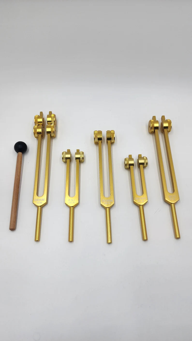 Gold Color Weighted Unique 5 Set of Psychic Tuning Fork Set with Striker and Velvet Bag
