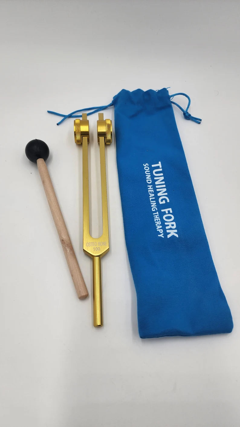 Harmony in Sound: 100 Hz Tuning Fork with Bag and Striker with 1 Attenuator