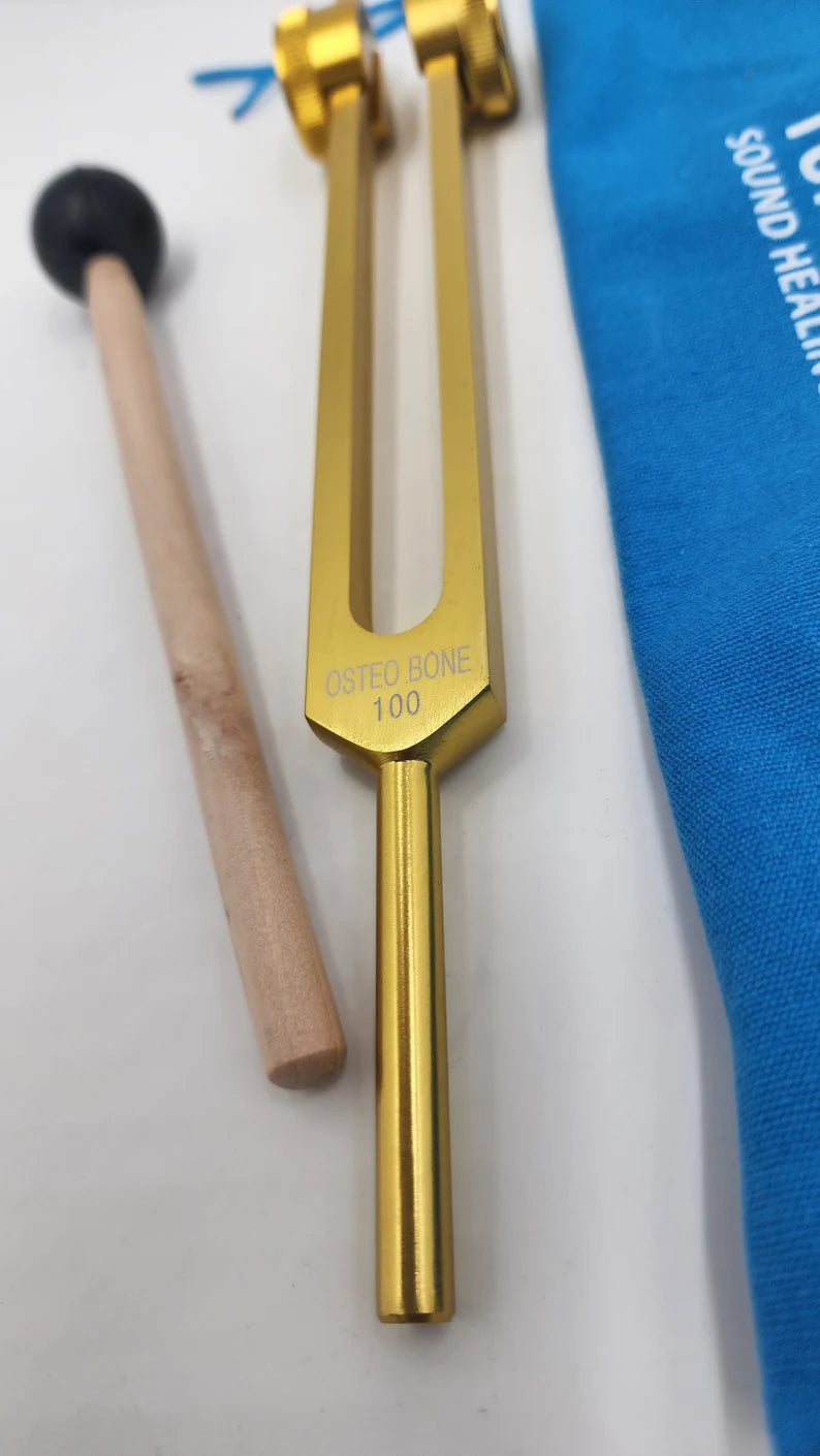 Harmony in Sound: 100 Hz Tuning Fork with Bag and Striker with 1 Attenuator