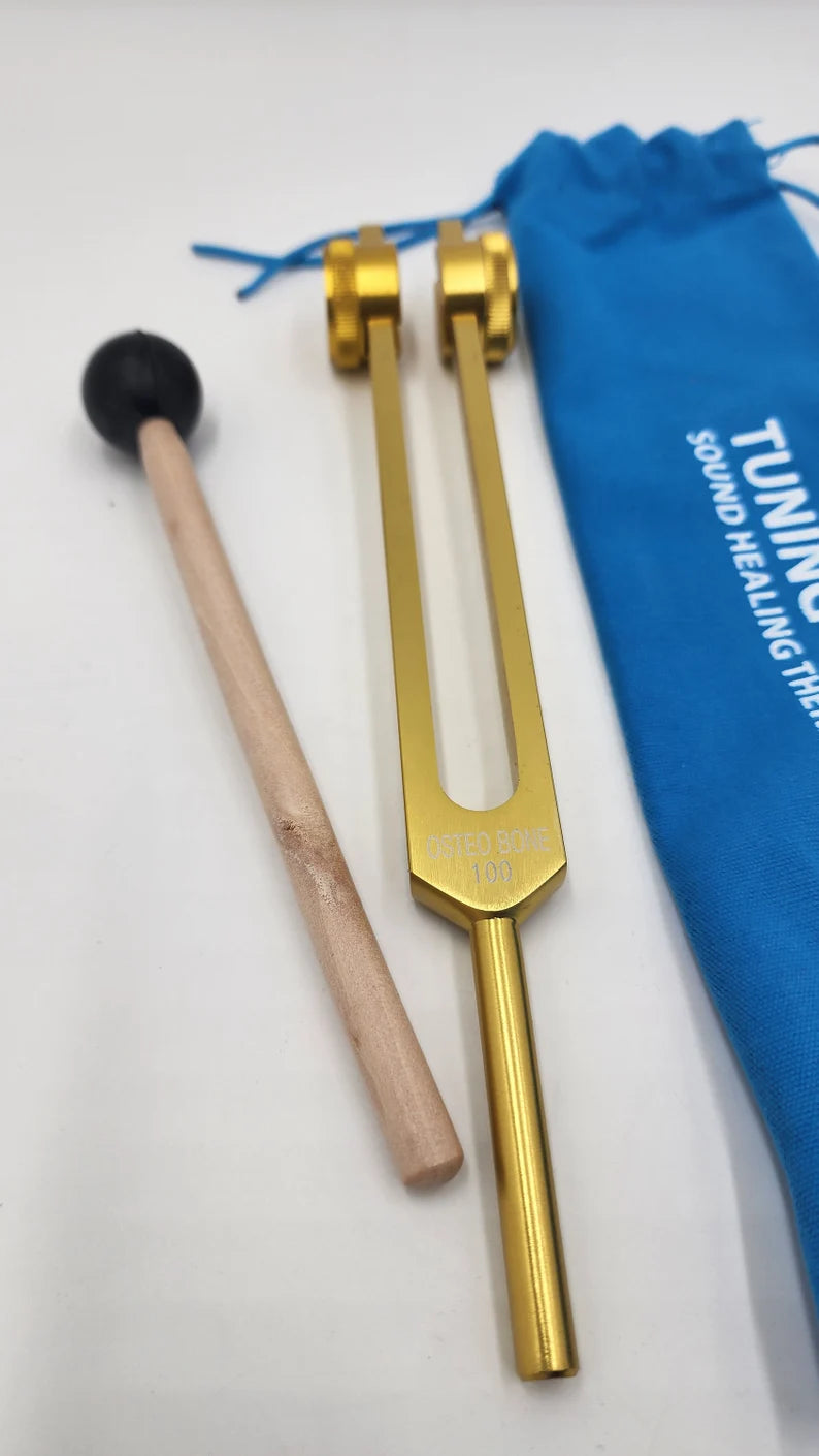 Harmony in Sound: 100 Hz Tuning Fork with Bag and Striker with 1 Attenuator