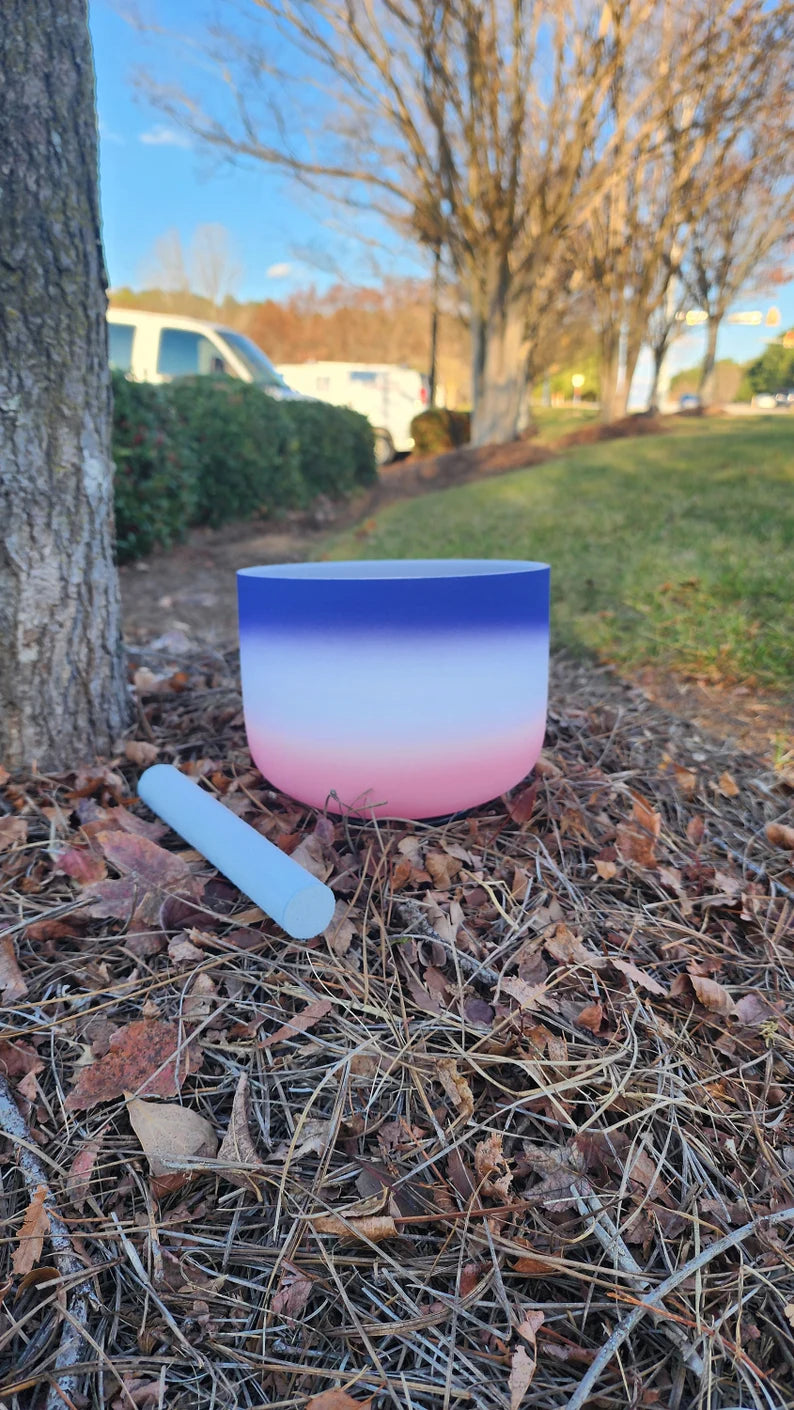 Calm Waters Resonance Serenity's Song: 8 inch B Note Crown Chakra Crystal Singing Bowl with PADDED SECURE CASE, Striker and an O-ring
