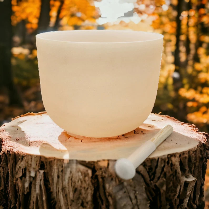 Special Light Orange 432Hz D Note Sacral Chakra Crystal Singing Bowl Set with Padded Secure Case, Bamboo Striker and O-ring