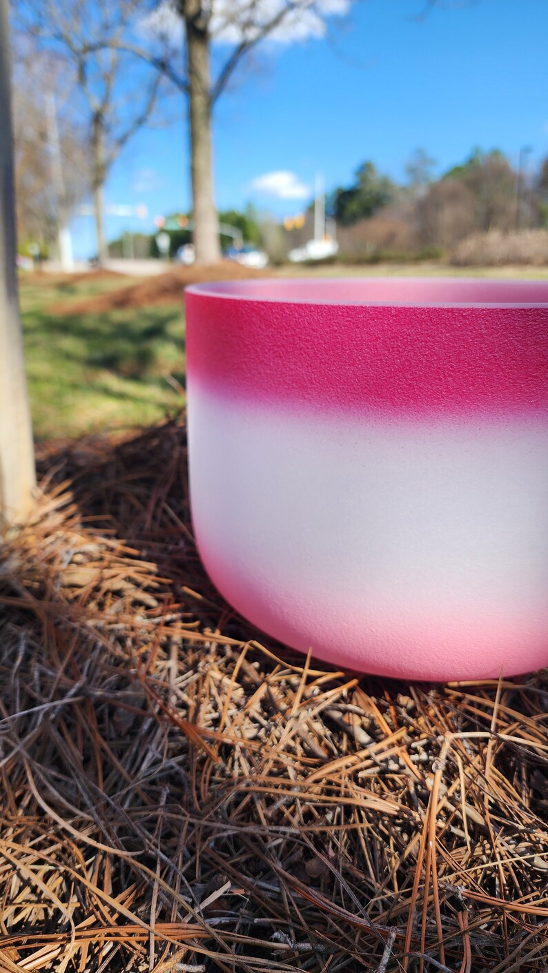 Whispers of Rose Perfect Pitch 10 inch F Note Heart Chakra Crystal Singing Bowl with Striker, Padded Case and O-ring