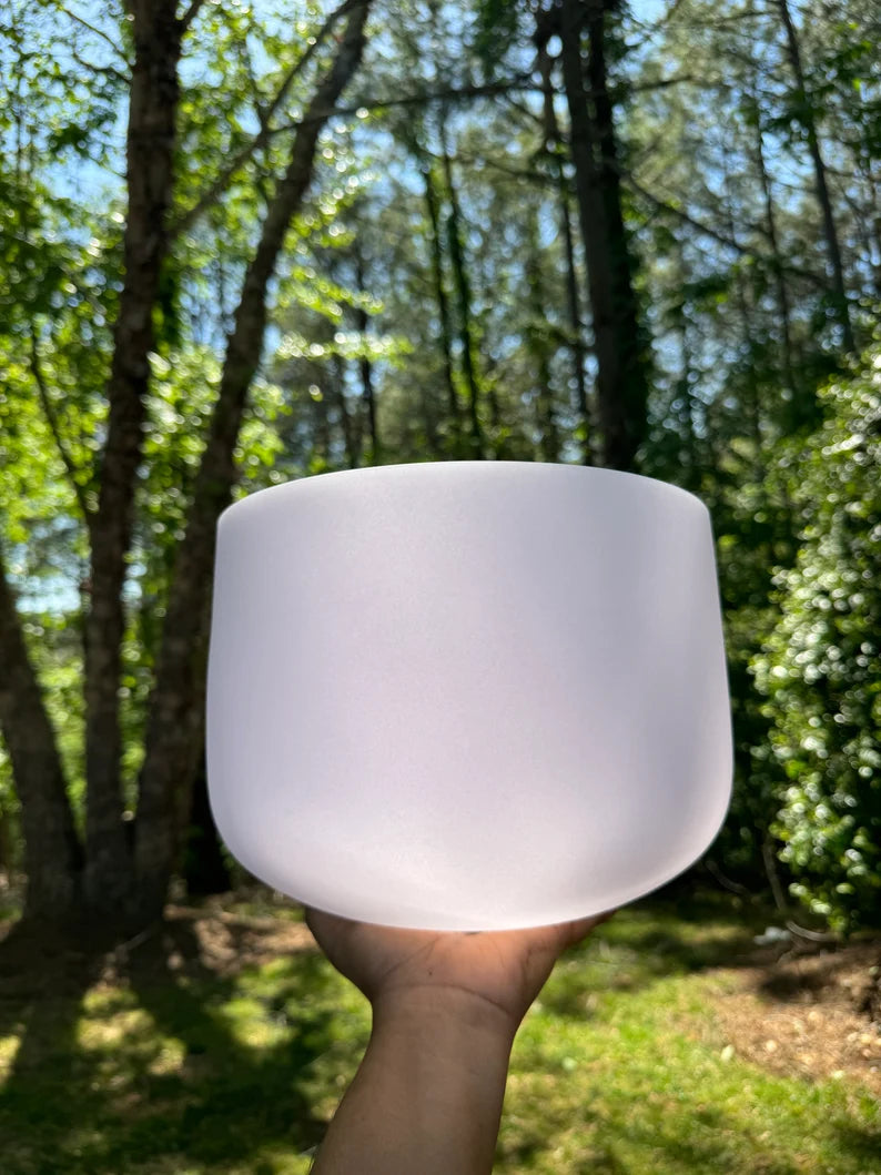 Healing Harmony Gem fused Crystal Singing Bowls Complete Set comes with Strikers, Mallets, O-Rings and Secure padded Cases