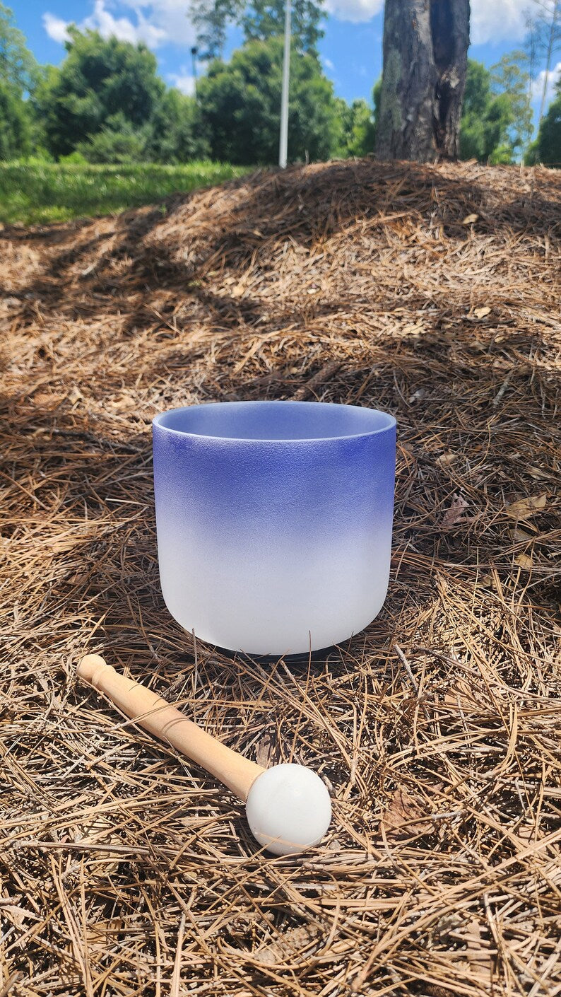 Rainbow Resonance: Crystal Bowl Set - F# and A# Series with Padded Case, Striker, and O-Ring