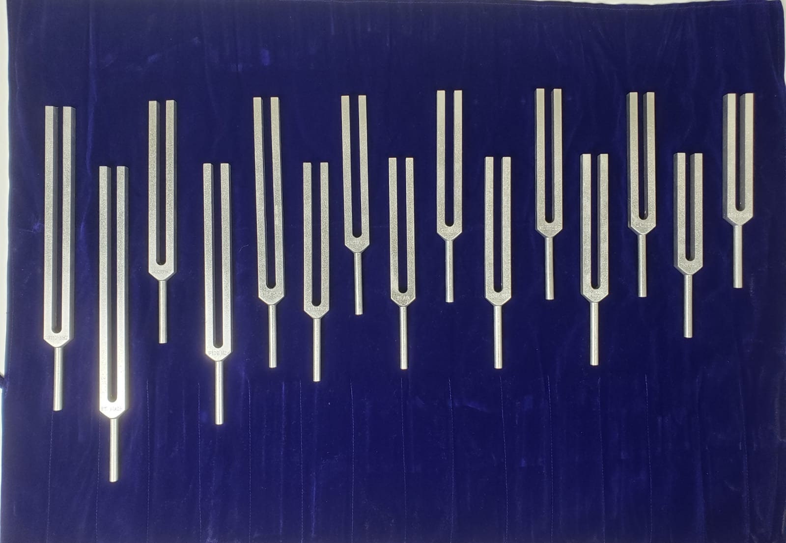 Human Organ Unweighted Silver Tuning Fork Set of 15 with MALLET, Rubber Activator and Velvet Bag - Read Description - Thecosmicaccess