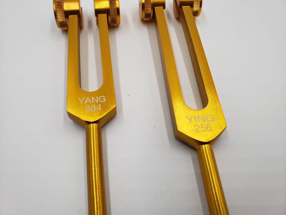 Weighed Sacred Ratio Pythagorean Tuning Forks with Velvet Bag Striker - Thecosmicaccess