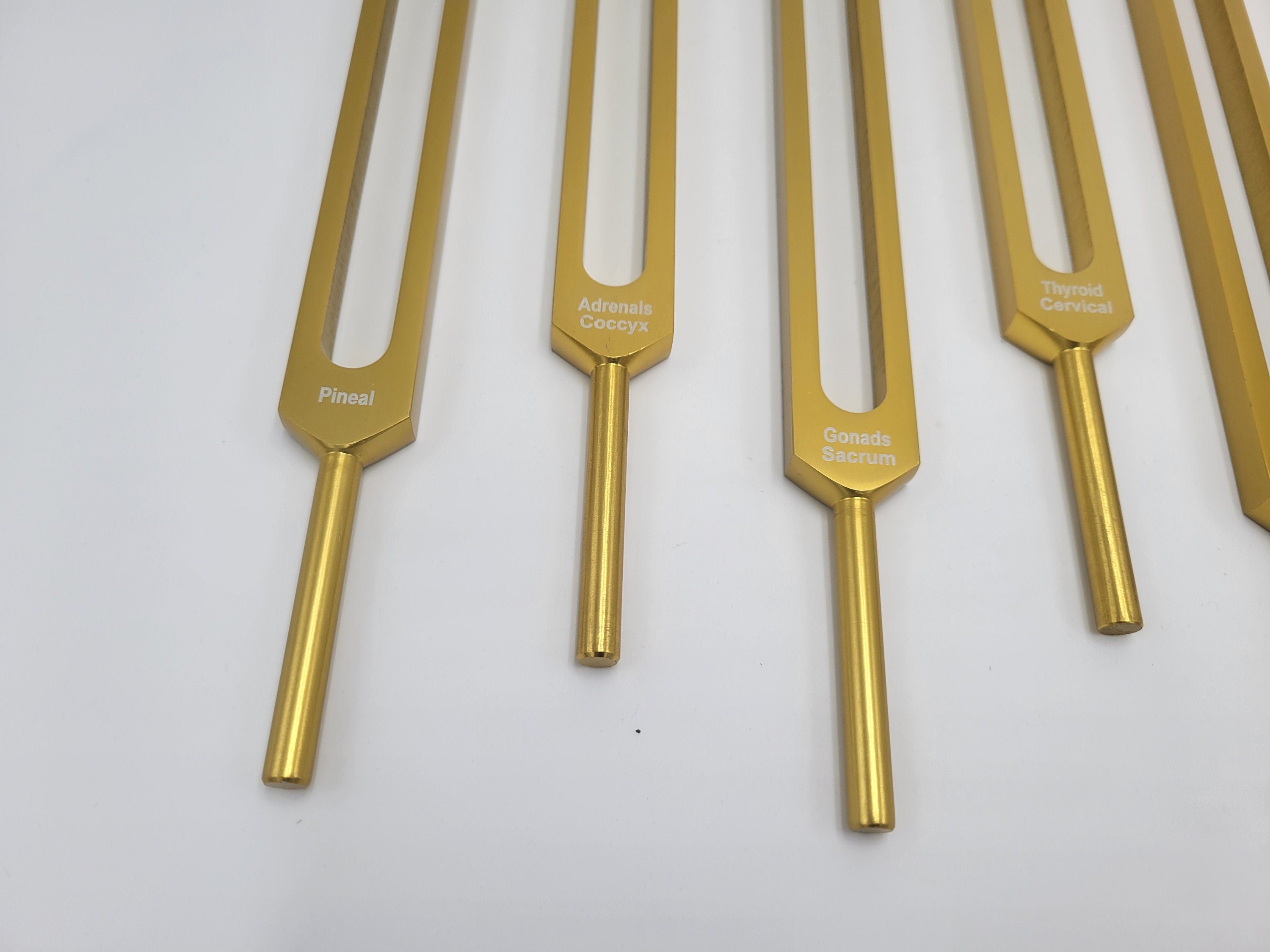 Gold Color Endocrine and Spine Set of 7 Healing Tuning Forks with Mallet and Pouch - Thecosmicaccess