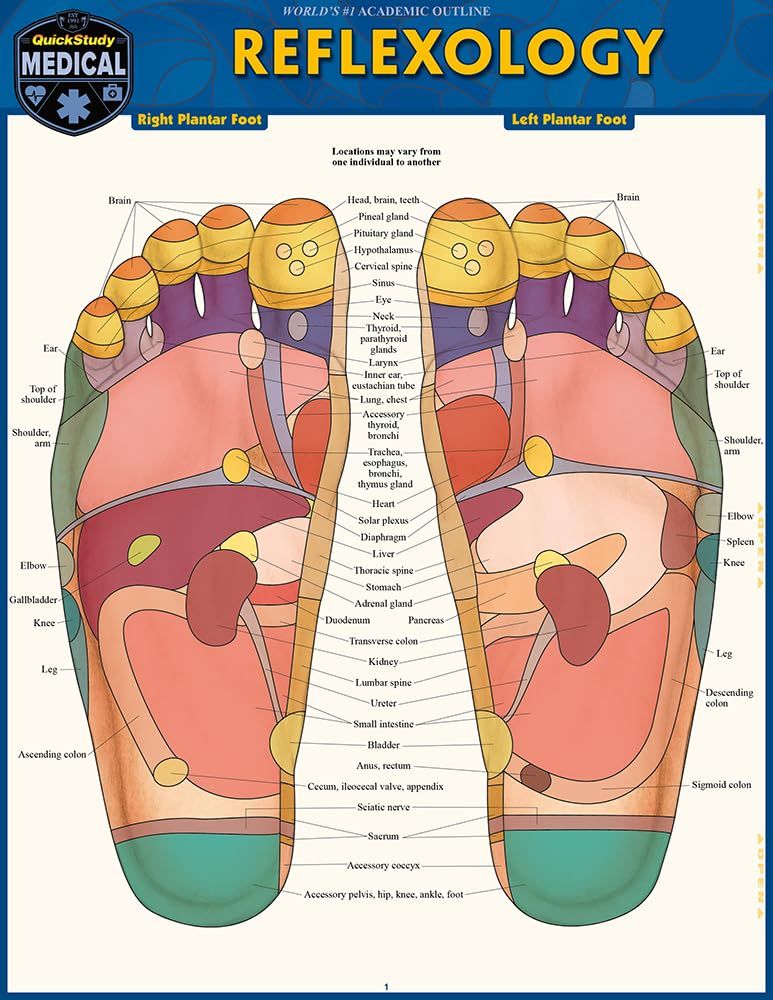 Reflexology Made Simple: A Compact Study Guide