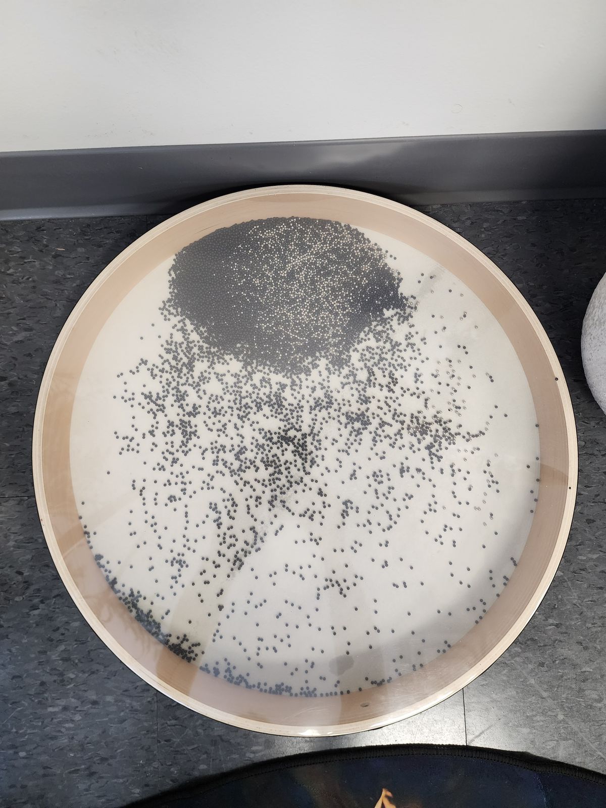 Ocean Drum (20 inches)