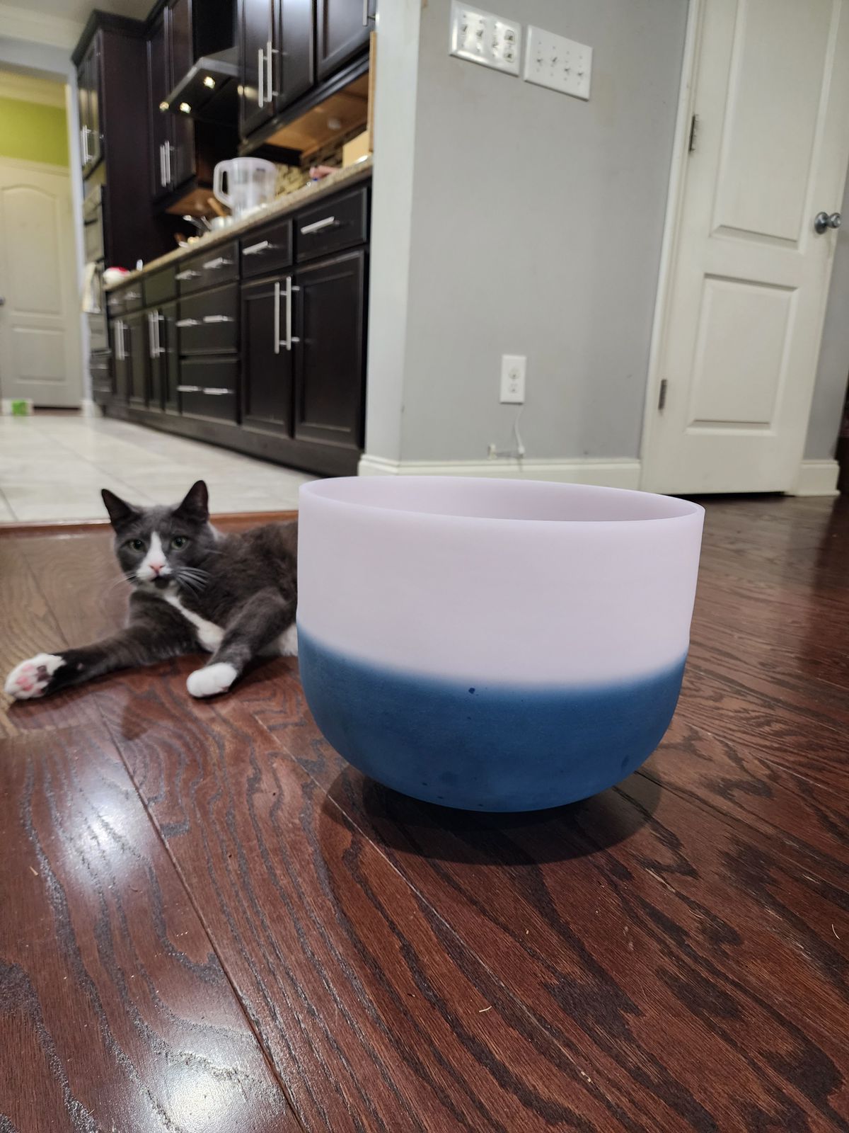 432Hz 12 inches Morganite & Lapiz Lazuli Gem Fused Crystal Singing Bowl with Padded Case and Crystal filled Striker