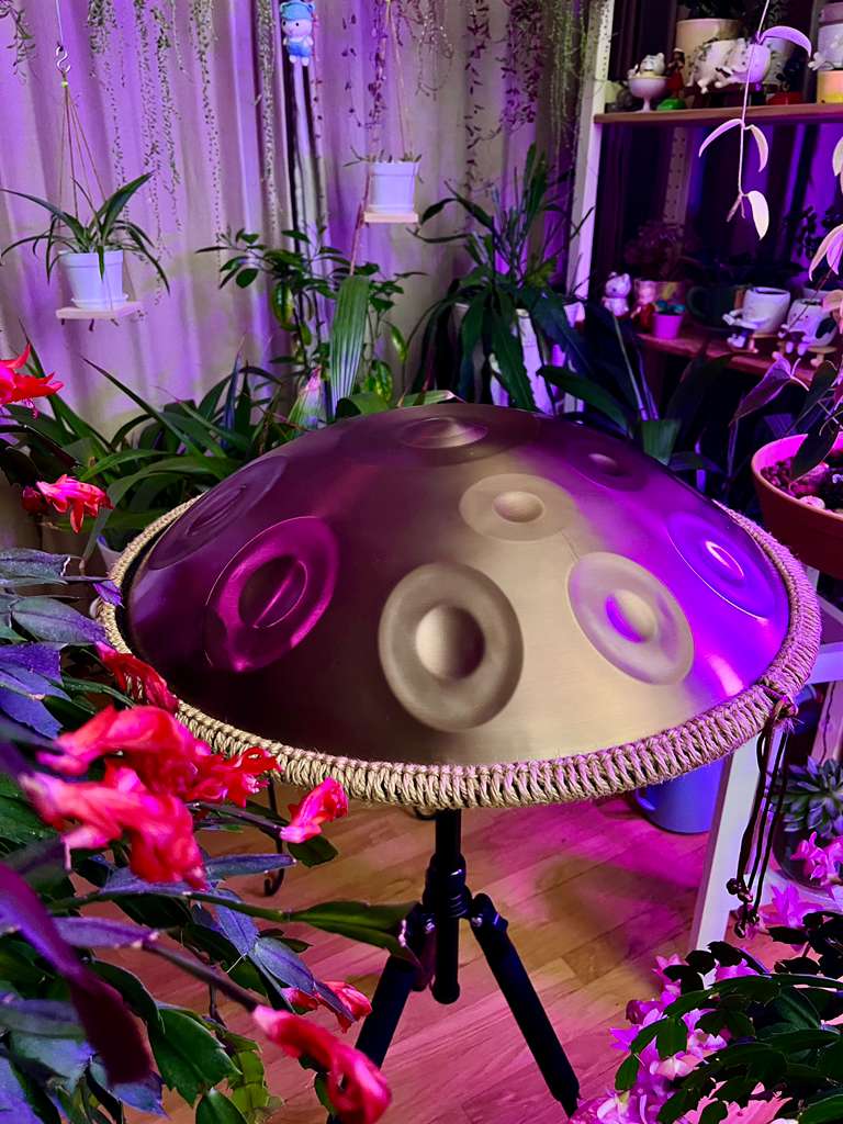 432Hz D Kurd Minor 12 Note Gold Color Handpan  with Case